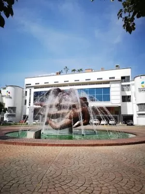 Torre Medica Las Américas