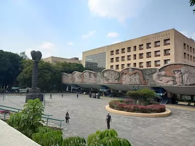 UMAE Hospital de Especialidades Dr Bernardo Sepúlveda Gutiérrez, Centro Medico Siglo XXI