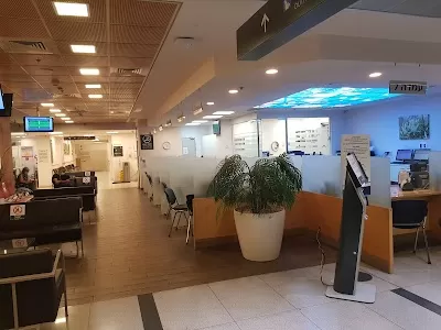 Assuta Optic