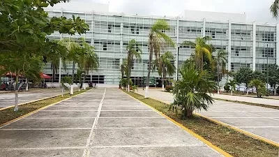 Seguro De La 510
