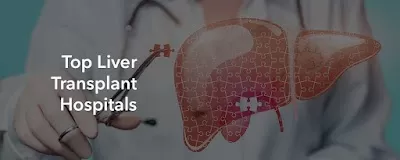 Liver Transplant in India