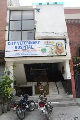 City Veterinary Hospital - Veterinary Doctor in Ludhiana | Pet Hospital in Ludhiana | Bird Hospital | Animal Doctor