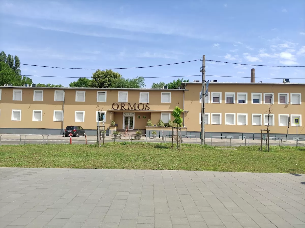 Ormos Institute
