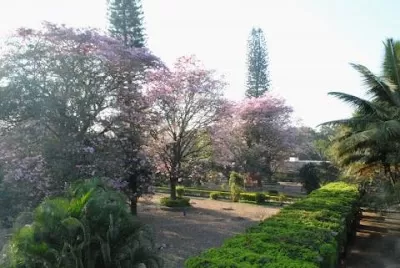 National Institute Of Mental Health & Neuro Sciences (NIMHANS)