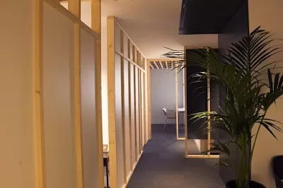 Viusalut