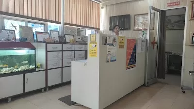 Bani Park Hospital