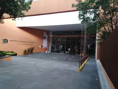 Instituto Nacional De Perinatologia