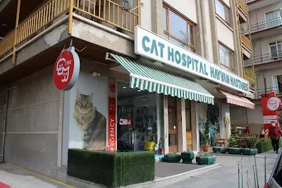 Cat Hospital Kedi Hastanesi