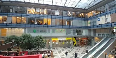 Synexus