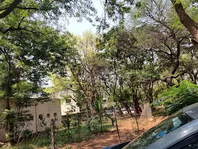 Institute of Mental Health