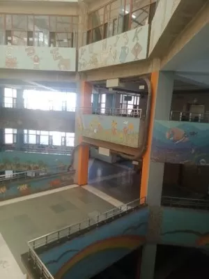Advanced Paediatric Centre, Emergency