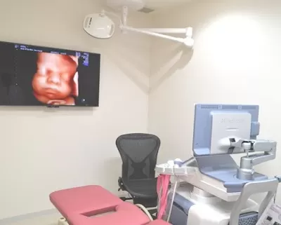Hiroo Minegishi of Obstetrics and Gynecology