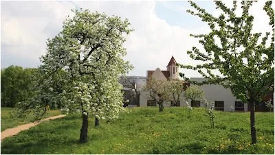 Darmkrebszentrum