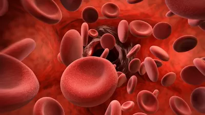 Best Haematologist Chennai Dr Srikanth Muralikrishnan/30 years experience Leukemia/Myeloma/Lymphoma