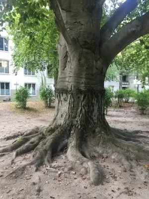 Klinik für Psychiatrie und Psychotherapie