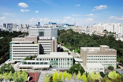 Seoul Boramae Hospital