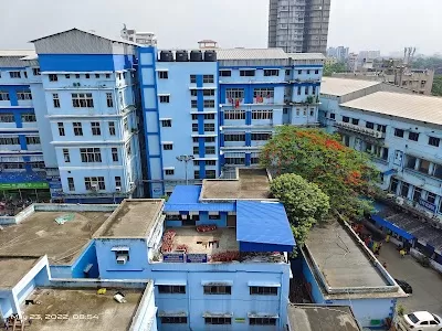 Gynaecology Department