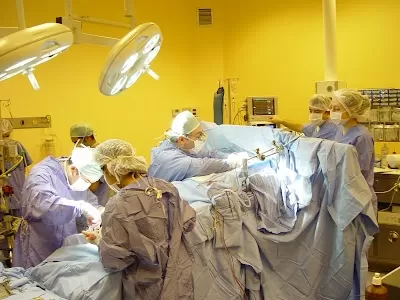 Special Grasshopper And Arrhythmia Heart Hospital