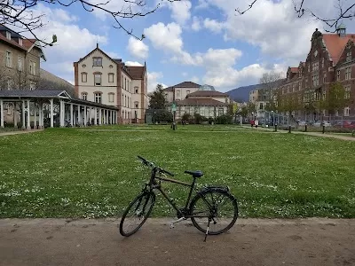 Psychiatrische Klinik Heidelberg, Station Frühbehandlungszentrum