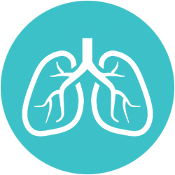 Pulmonology